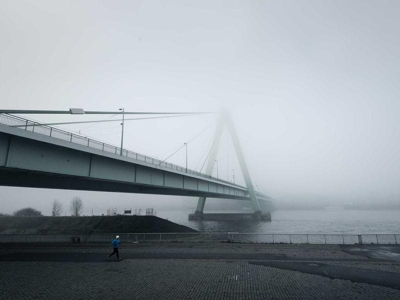 Marketing in a Cookieless World