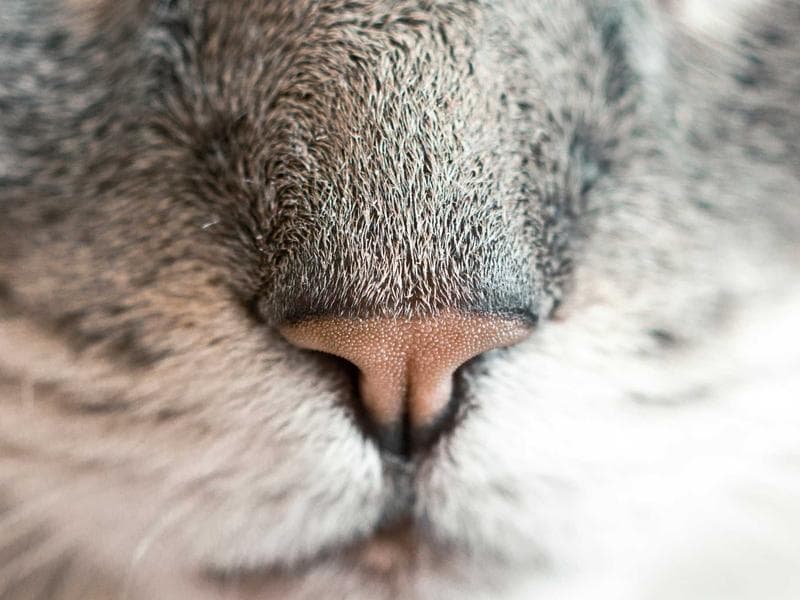 Mastering the Art of Web Development : A Practical Approach (Part 23)