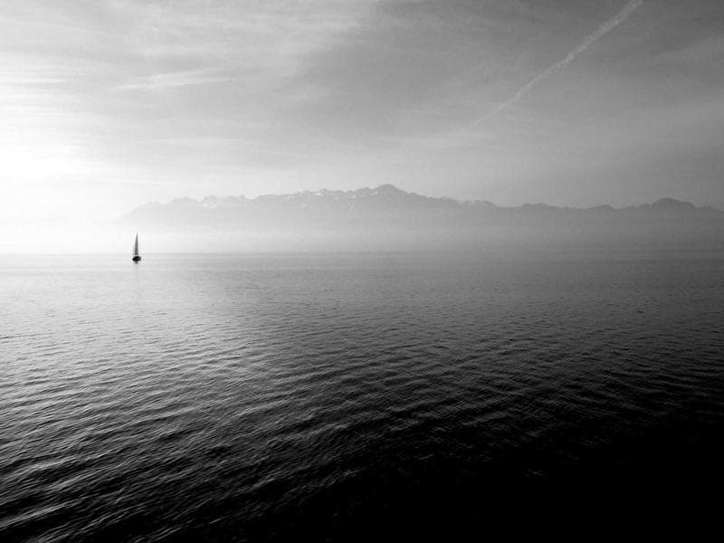 Navigating the World of Business : Challenges and Opportunities (Part 23)