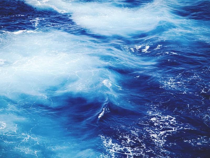 Navigating the World of Business : Challenges and Opportunities (Part 7)