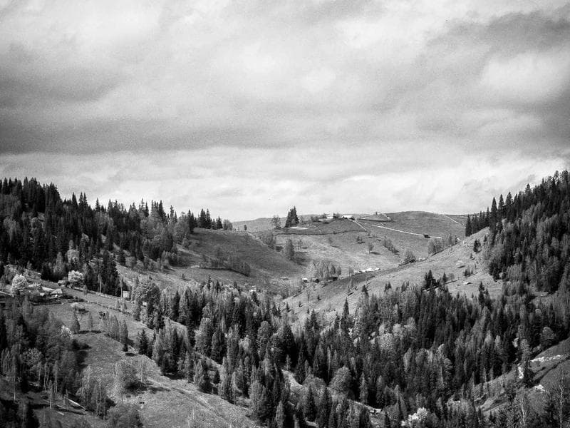 Optimizing Cybersecurity for Startups