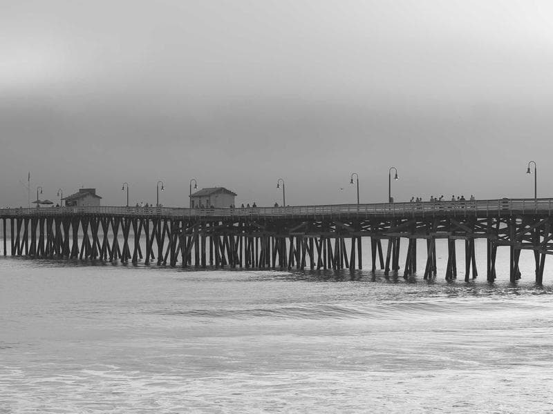 Premium Exhibition Graphics in Gauteng