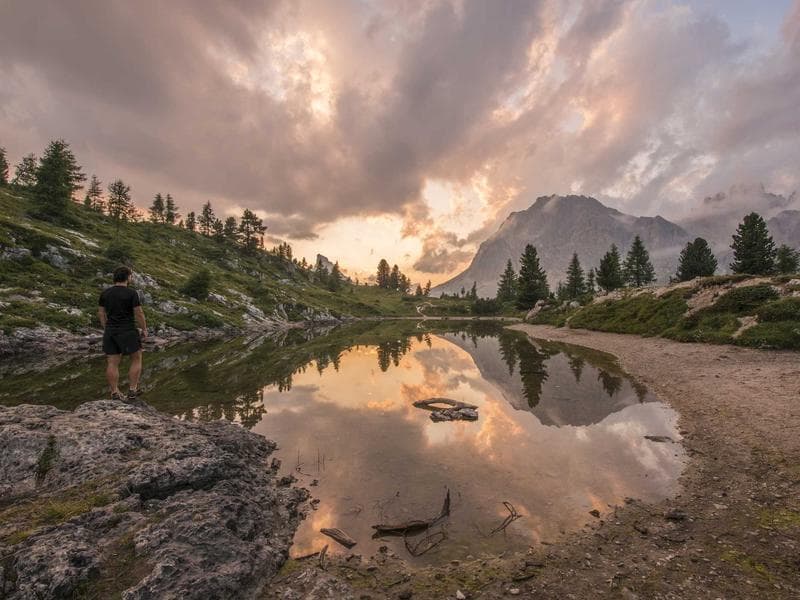 Professional Logo Design Services in South Africa