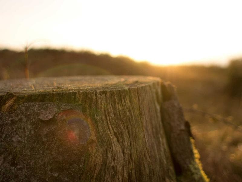 SEO for Healthcare Providers: A Comprehensive Guide