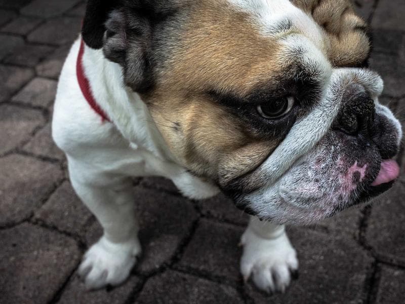 Social Media for Tech Startups: A Comprehensive Guide