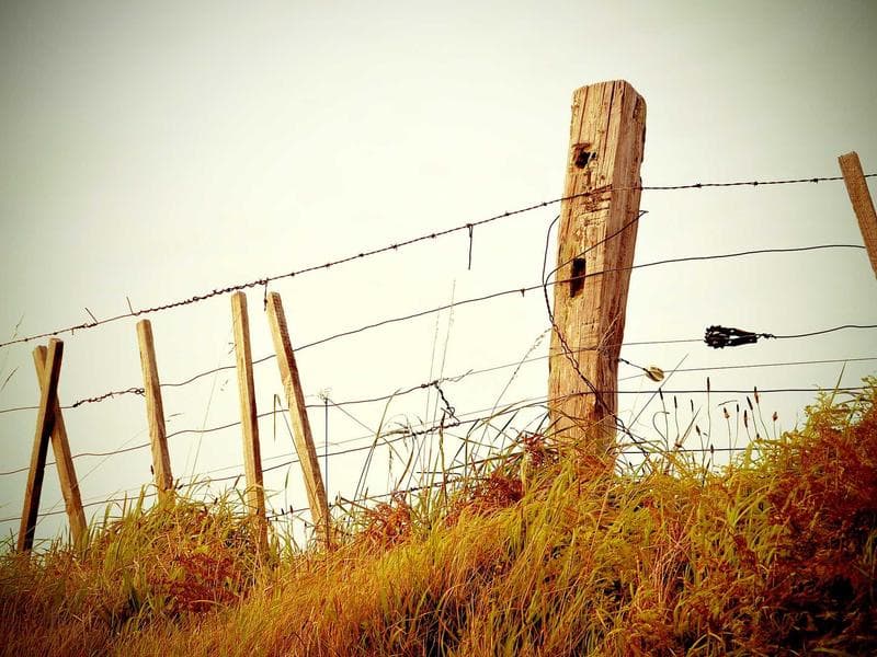 Strategic Insights into Content Strategy : A Comprehensive Review (Part 27)