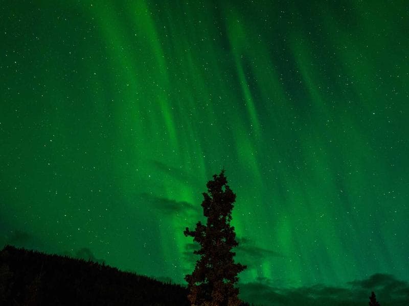 Strategic Insights into SEO : A Comprehensive Review (Part 6)