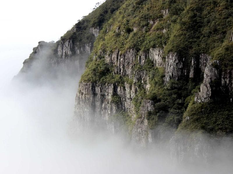 Strategies for Insurance : A Comprehensive Guide (Series 15)