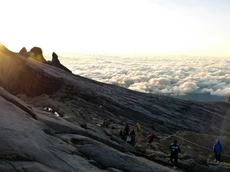 Strategies for Insurance : A Comprehensive Guide (Series 16)