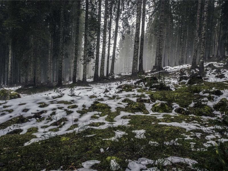 Strategies for Insurance : A Comprehensive Guide (Series 19)