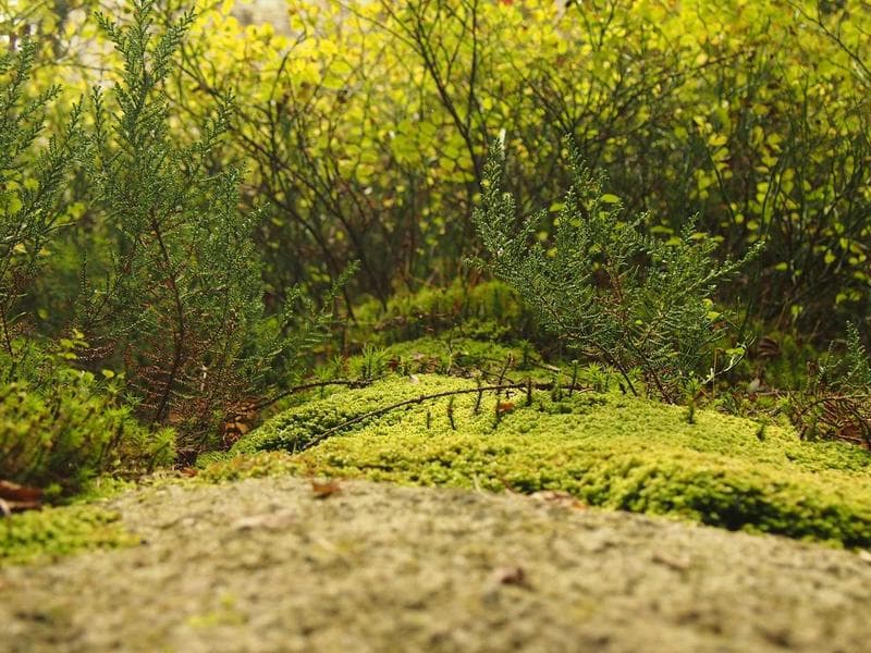 Strategies for Mastering Productivity for Modern Leaders (Vol. 14)