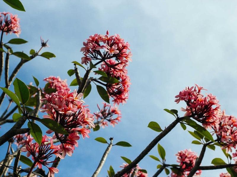 Strategies for Mastering Productivity for Modern Leaders (Vol. 2)