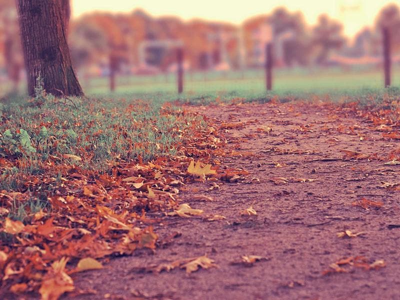 Sustainable Web Design: Reducing Your Digital Carbon Footprint