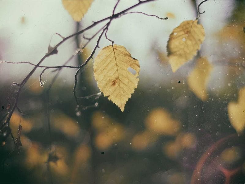 Techniques for Sustainability : A Practical Guide (Edition 10)