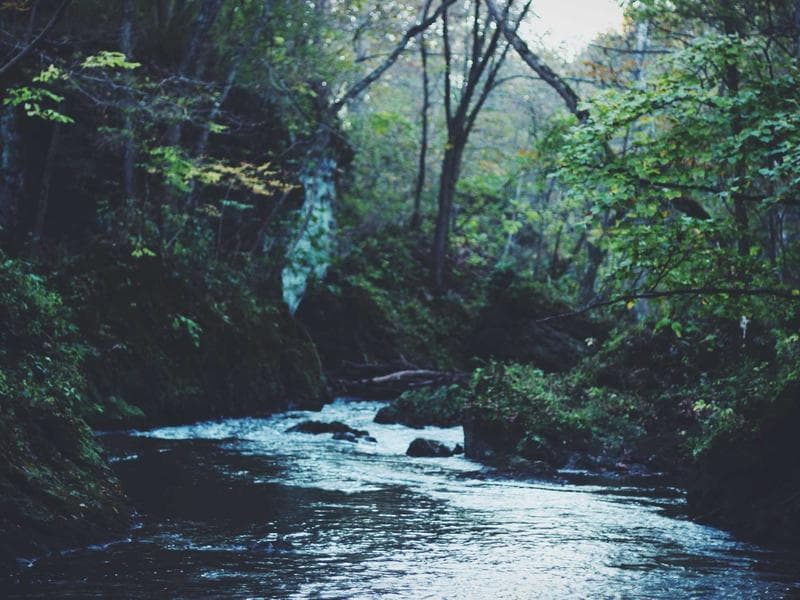 Techniques for Sustainability : A Practical Guide (Edition 18)