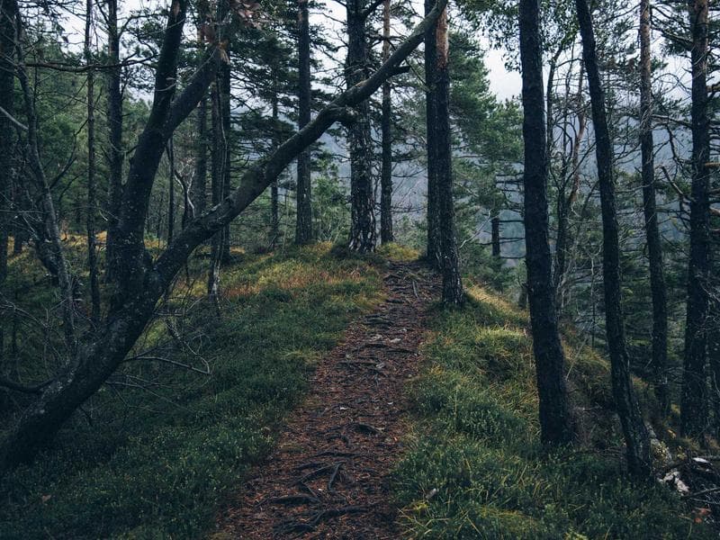 Techniques for Sustainability : A Practical Guide (Edition 19)