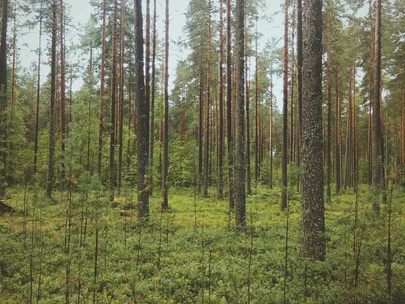 Techniques for Sustainability : A Practical Guide (Edition 5)