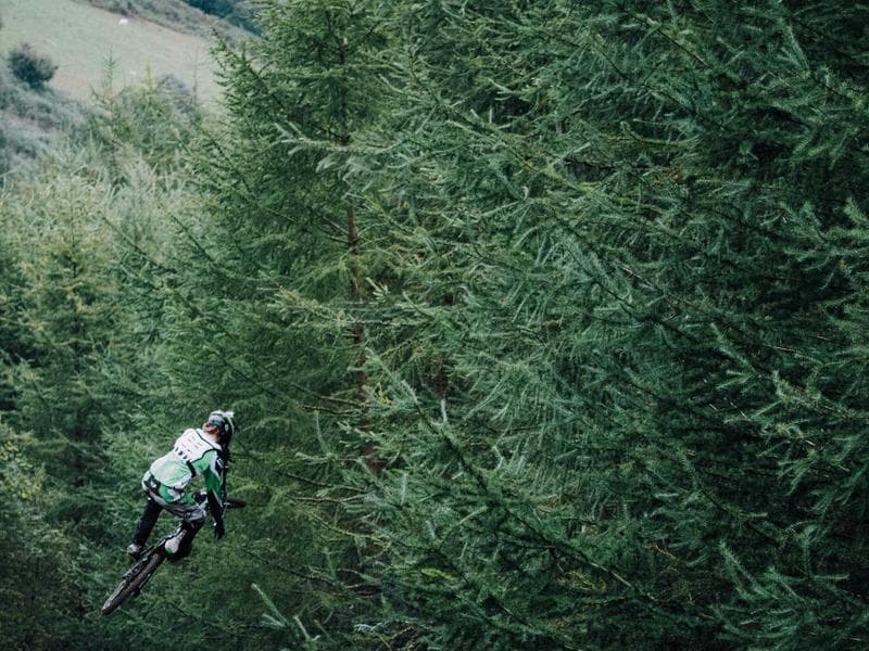 The Benefits of Gamification