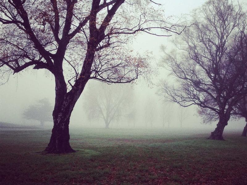 The Benefits of Medical Tech : What the Data Says (Edition 19)