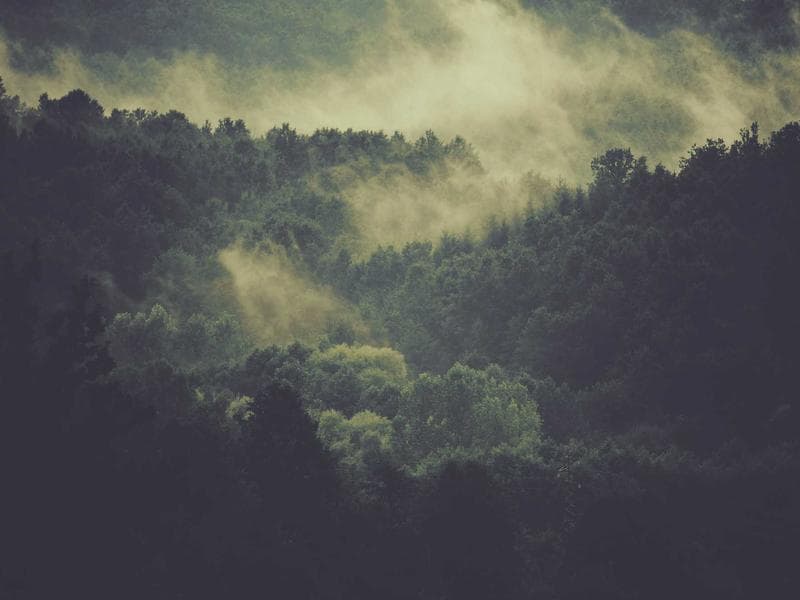 The Benefits of User-Generated Content