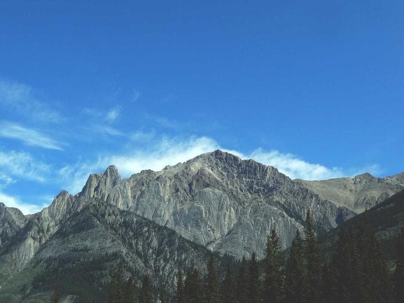 The Benefits of Using Vector Graphics (SVGs)