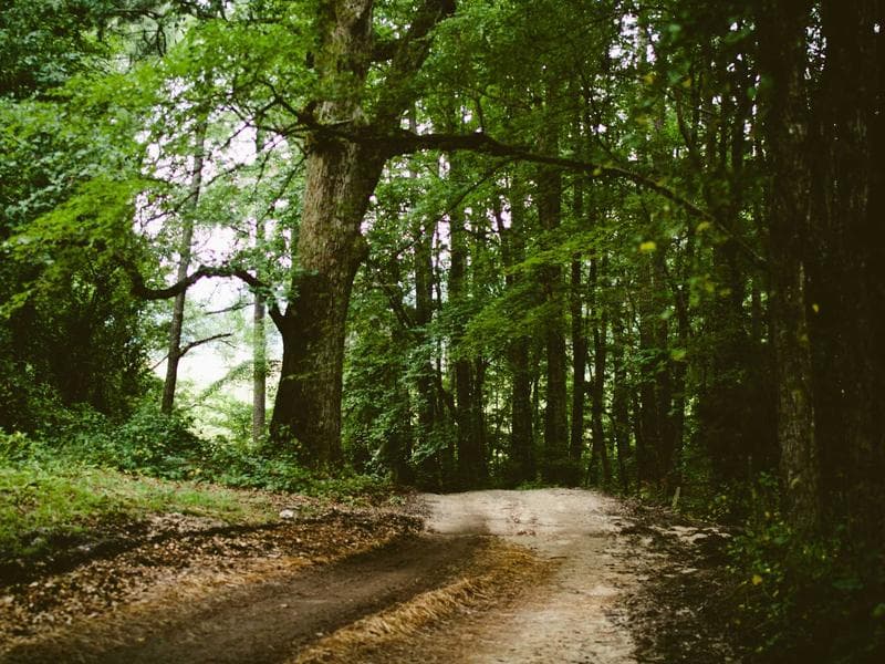 The Evolution of Influencer Marketing: Micro vs. Macro