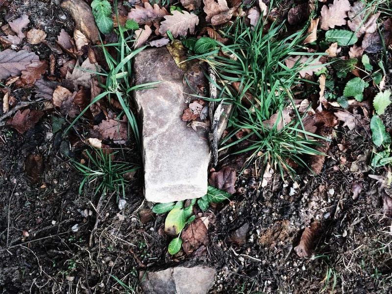 The Evolution of Technology in the Modern Era (Part 13)