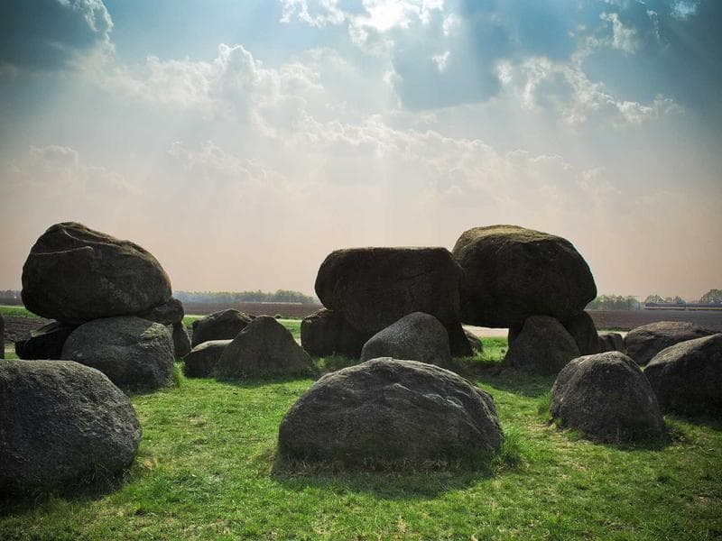 The Future of AI for Beginners