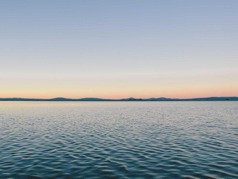 The Future of Data Science Solutions