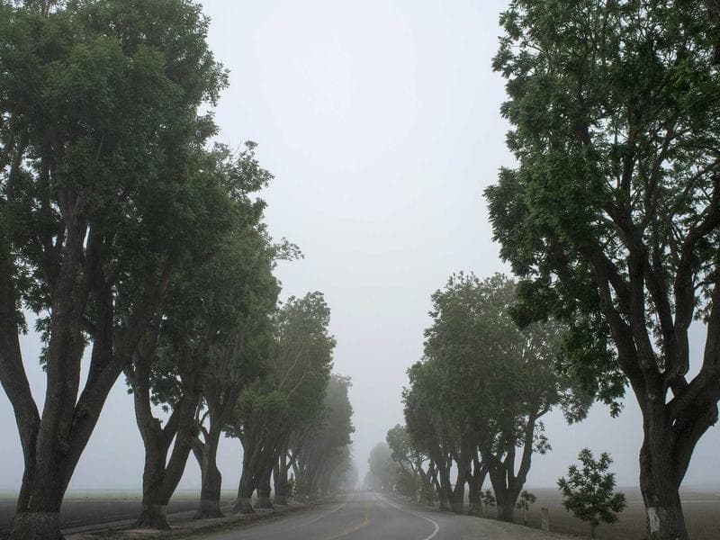 The Future of Finance in 2026 (Series 16)