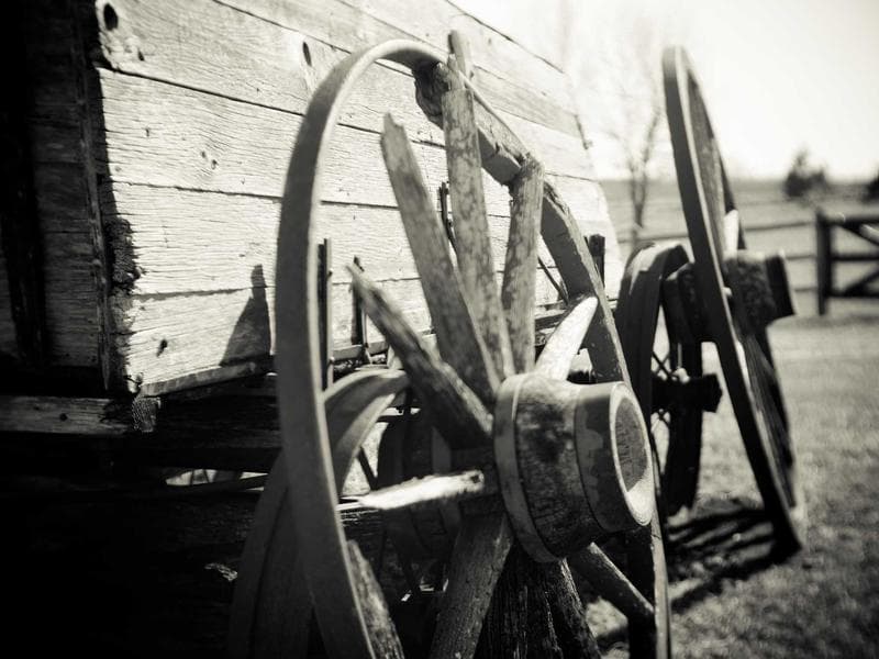 The Future of Fitness : Breakthroughs (Edition 2)