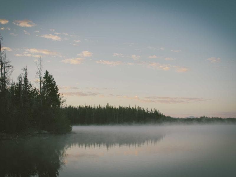 The Future of Remote Work in 2026 (Vol. 1)