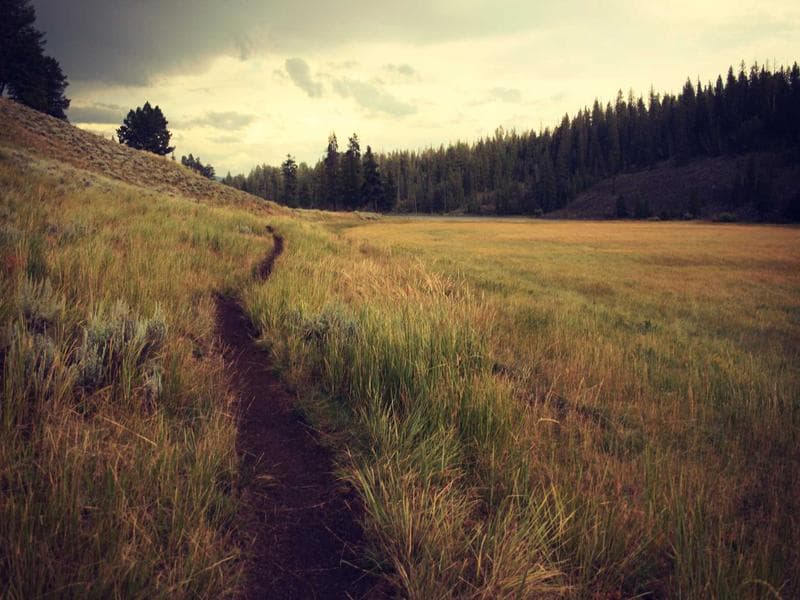 The Future of Remote Work in 2026 (Vol. 10)