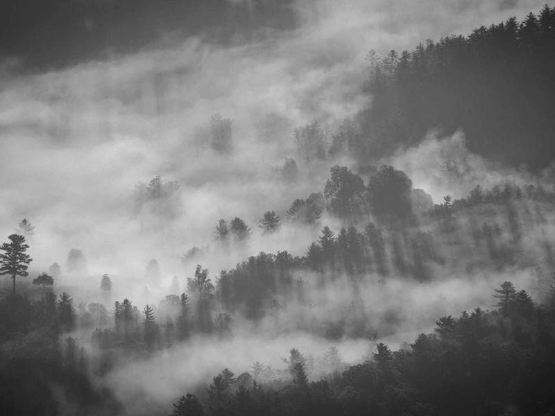 The Future of Remote Work in 2026 (Vol. 13)