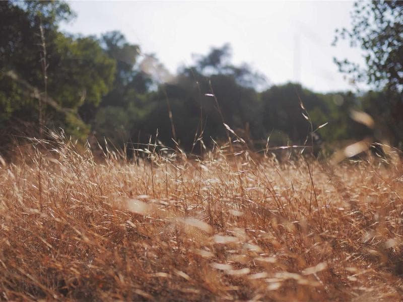 The Future of Remote Work in 2026 (Vol. 20)