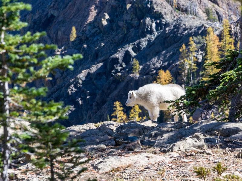 The Global Impact of Business and Why It Matters (Part 29)