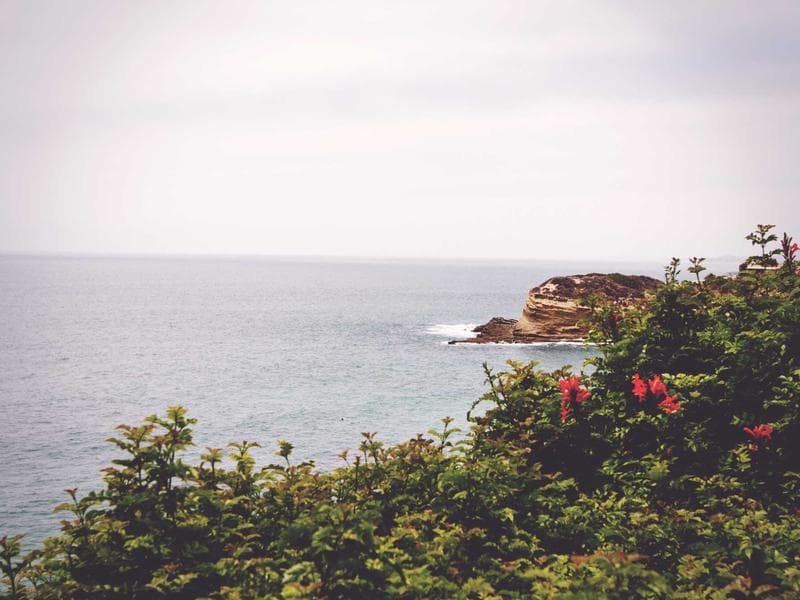 The Global Impact of Social Media and Why It Matters (Part 3)