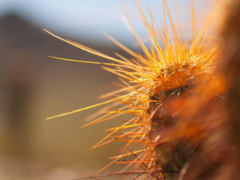 The Global Impact of Web Development and Why It Matters (Part 30)