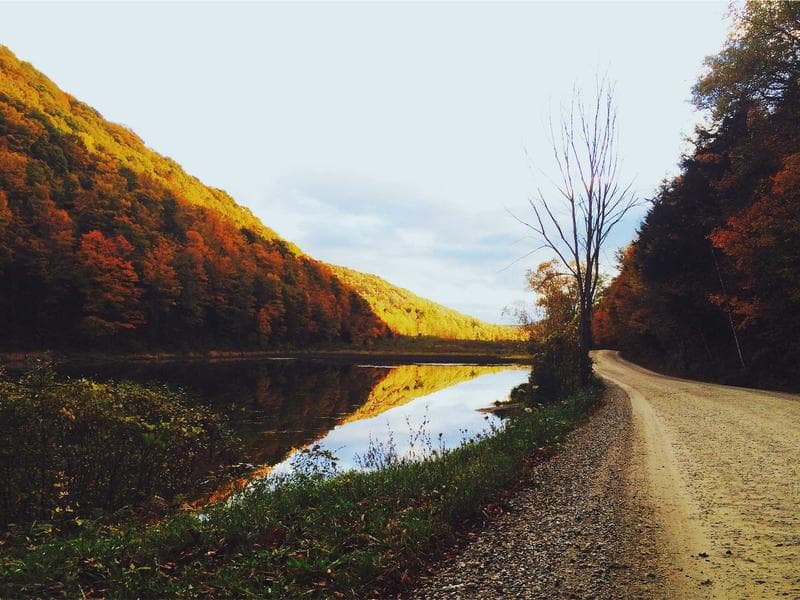 The Hidden Benefits of Management to Boost Revenue (Vol. 1)