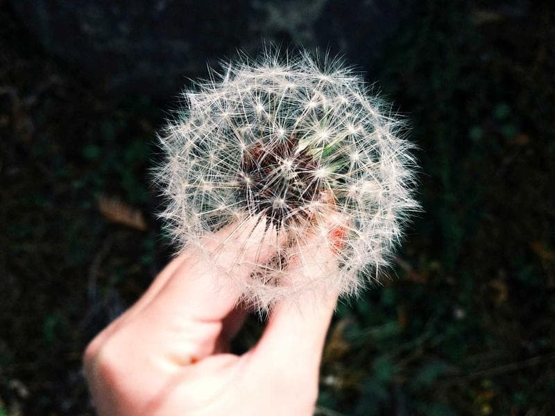 The Hidden Benefits of Management to Boost Revenue (Vol. 17)