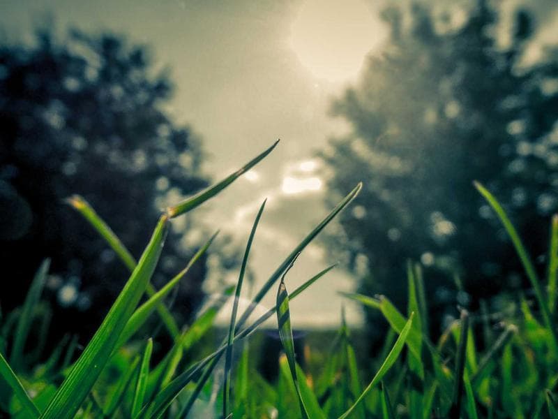 The Hidden Truths of Marketing for Sustainable Growth (Part 22)