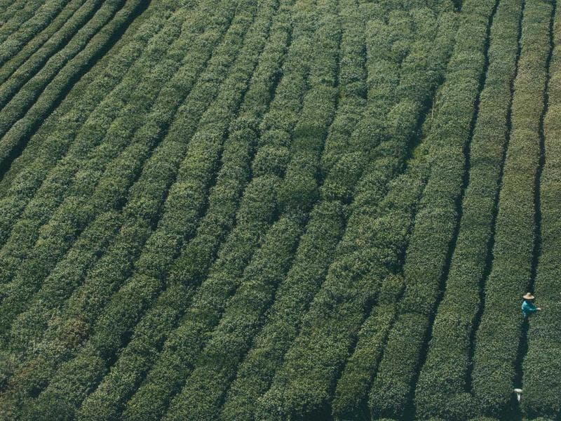 The Hidden Truths of Technology for Sustainable Growth (Part 17)