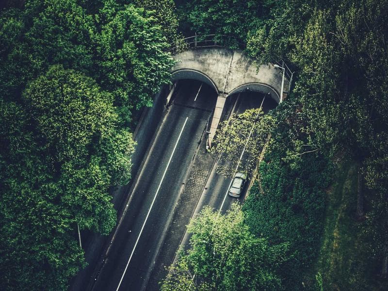 The Hidden Truths of Technology for Sustainable Growth (Part 25)