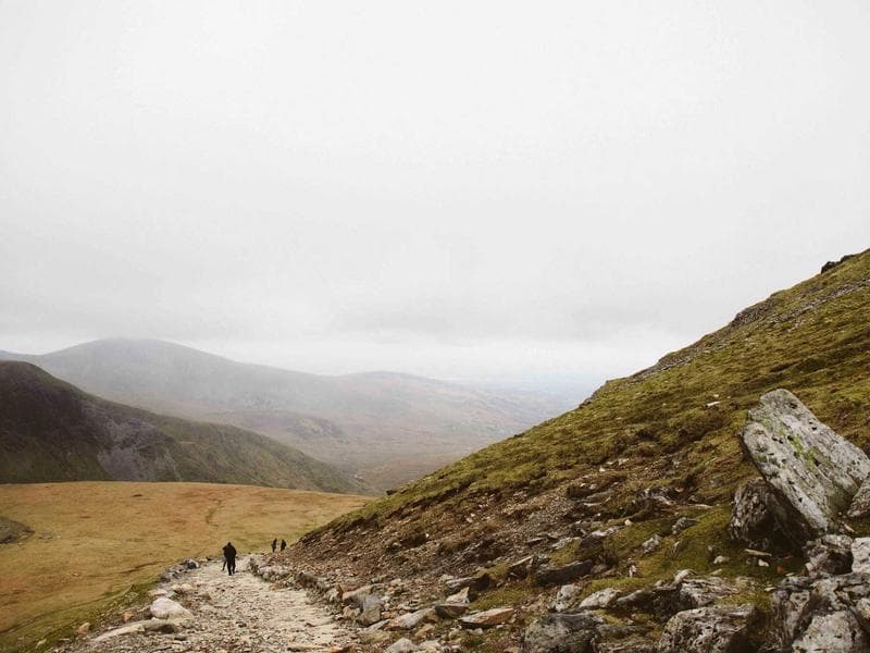 The Hidden Truths of Technology for Sustainable Growth (Part 29)