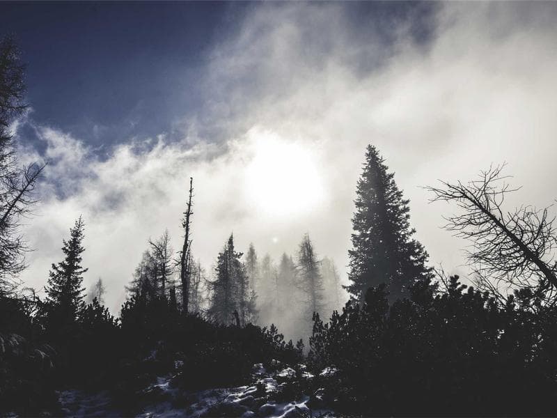 The Impact of Banking Global Trends (Series 8)