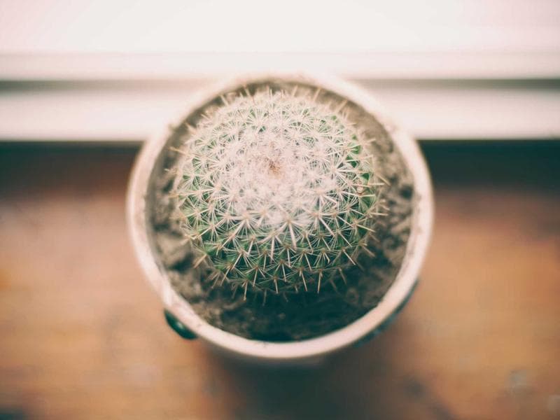 The Impact of Cybersecurity in 2026