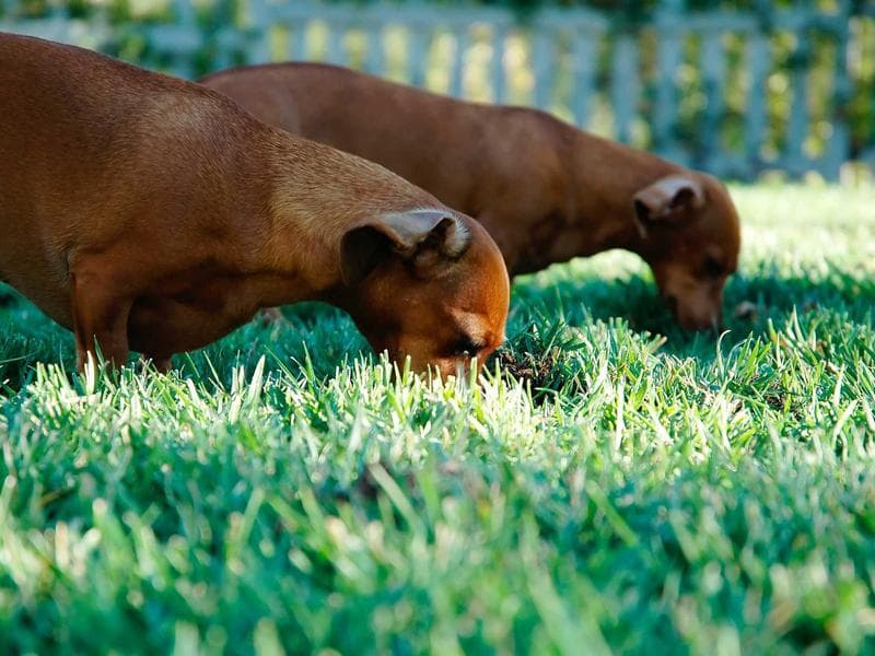 The Importance of SEO Audits