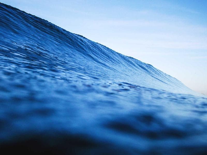 The Psychology of AI for Small Business