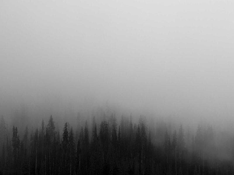 The Psychology of Blockchain for Beginners