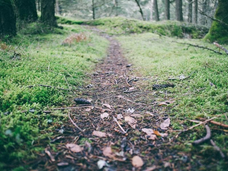 The Psychology of Blockchain in the Digital Age